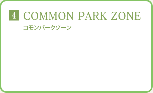 COMMON PARK ZONE
